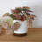 Trailing Plant In 4.25" Ceramic 4.25*4.25*4.25
