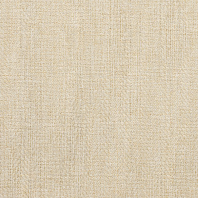 Sherlock Backed Polyester Fabric