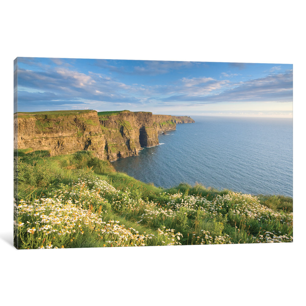 Summer Daisies, Cliffs Of Moher, County Clare, Munster Province, Republic Of Ireland by Gareth McCormack - Photograph Print on Canvas East Urban Home 