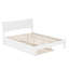 Phoenix Wood Platform Bed with Trundle-223210854-223210855