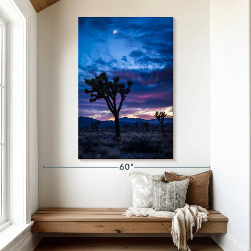 Aime Joshua Tree Park la nuit, H 51 po x l 34 po