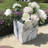 Wabbaseka Planter Box-1912528524-1988209907