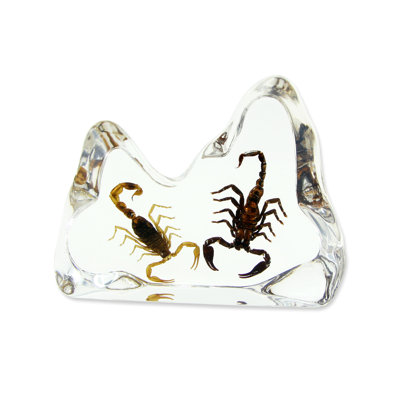 Ramiro Animals Figurines & Sculptures