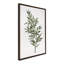 «Ruscus» par Patricia Shaw, reproduction d'art sur toile encadrée-692625270-692625256