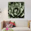 «Succulent II», impression sur toile-29174031-72797717-72797715