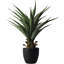 Agave plante artificielle avec pot-1812507841