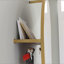 Armoire à chaussures murale avec miroir