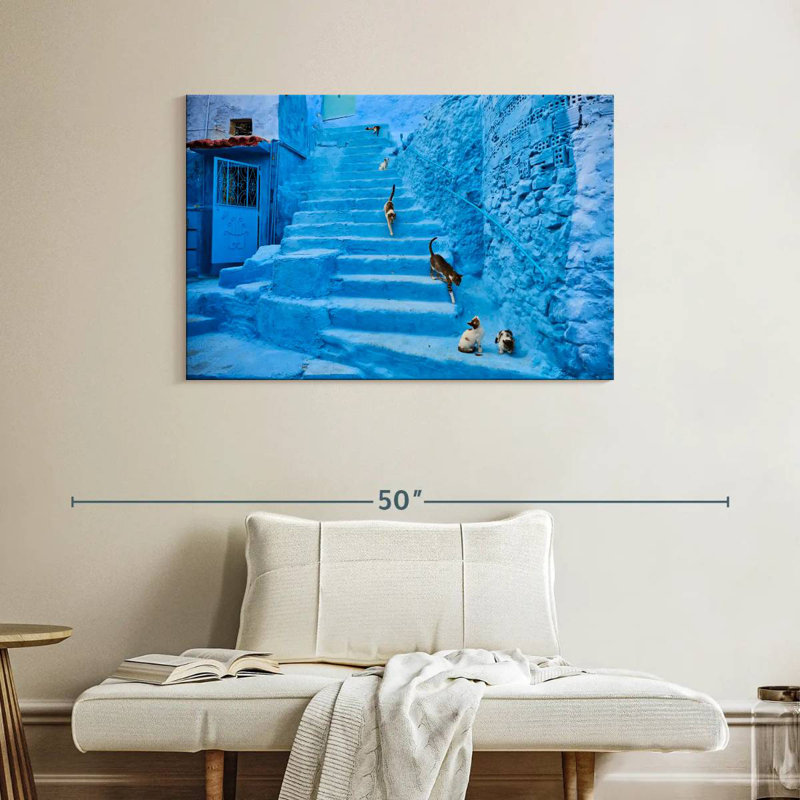 Chats Brampt Chefchaouen, H 26 po x l 39 po