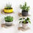 Ottava Square Solid Wood Floating Shelf-2142640565