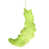 Kiwi vert est en rupture de stock
