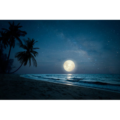 Night Skies - Photographie sur toile tendue