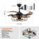 Ceiling Fan Light