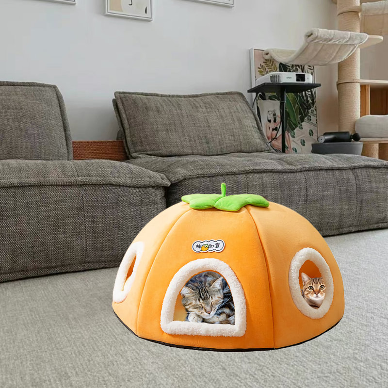 Nid de chat