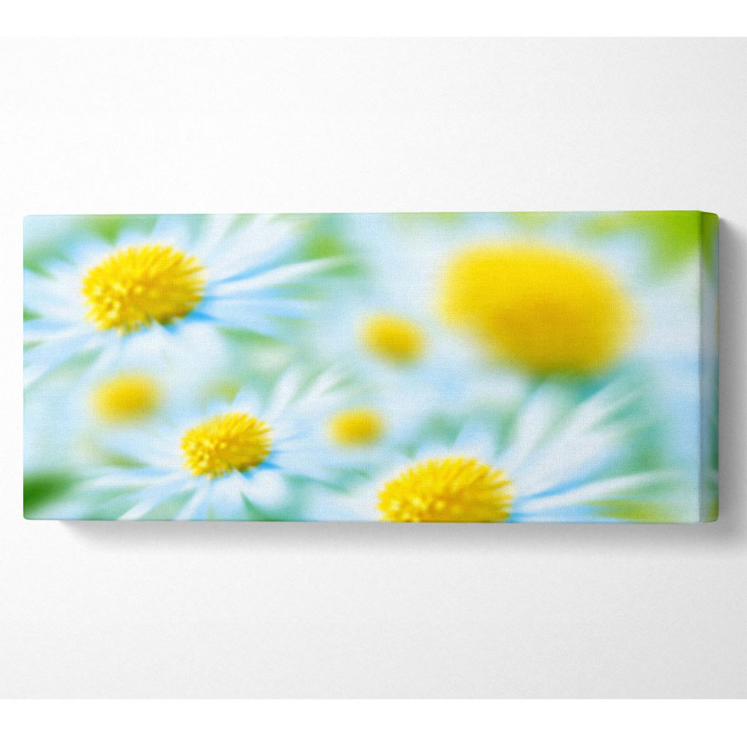 Soft Hue Of White Daisies - Kunstdrucke auf Leinwand