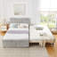 Lit simple Hund Trundle-130076205-130076203