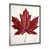 Silver Single Picture Framed is unavailable