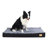 Deanesha Orthopedic Pet Bed-1043454576