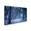 «Blue Frost» par Philippe Sainte-Laudy - reproduction de photo sur toile tendue-23092394