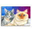 Art mural épique «Two Cute Cats» par Rebecca Wang-101651054