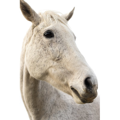 «A Horse Named Lady II» par Sue Schlabach - photographie