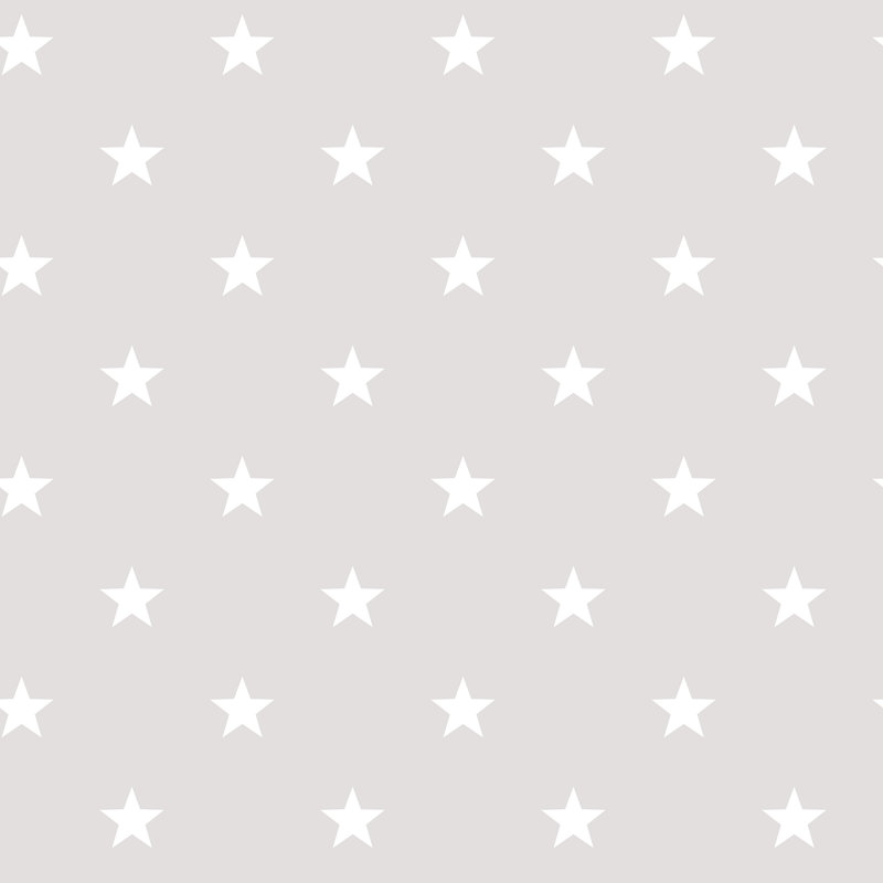 Galaxy 10m x 53cm Matte Wallpaper Roll, Grey