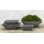 Zen Planter