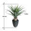 Agave 30 po plante artificielle avec pot