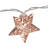 10 - Bulb 48'' Battery Powered Novelty String Light