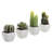 4 - Piece Artificial Succulent in Pot Set