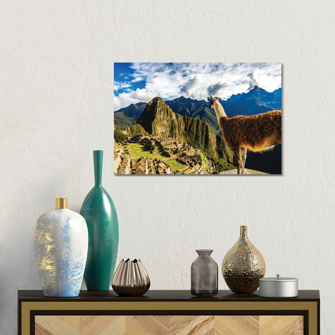 Peru Machu Picchu Lama Overlooking von Alex G Perez - Galerie-umwickelte Leinwand Giclée auf Leinwand