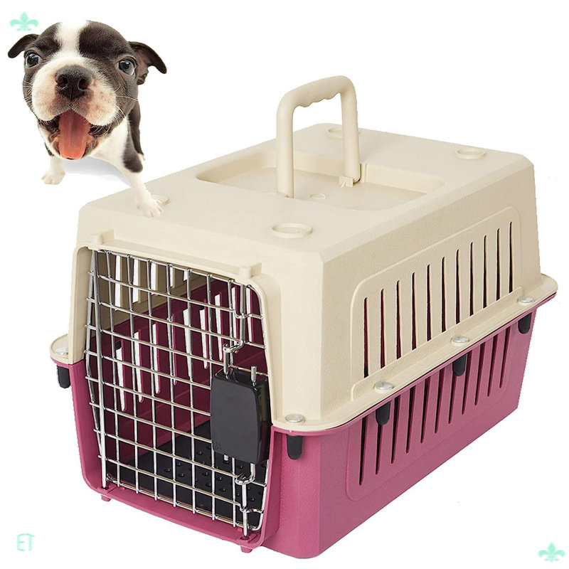 Cage en plastique pour chat et chien
