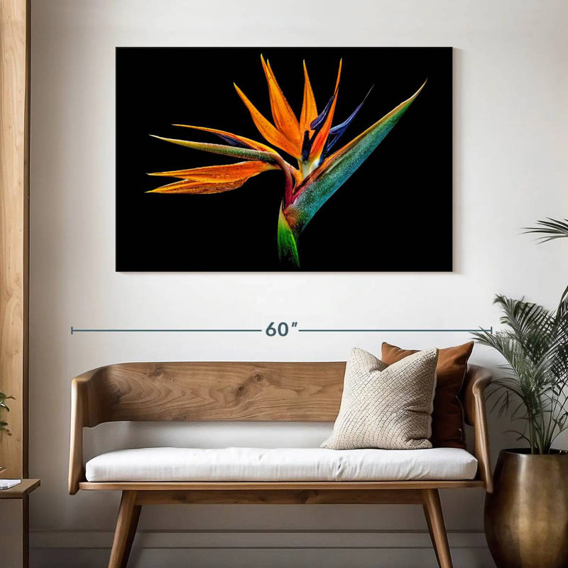 Harnek Strelitzia particulier, H 32 po x l 48 po