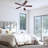 Alvina 44'' Ceiling Fan with LED Lights-765932382