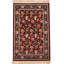 Oriental Area Rug