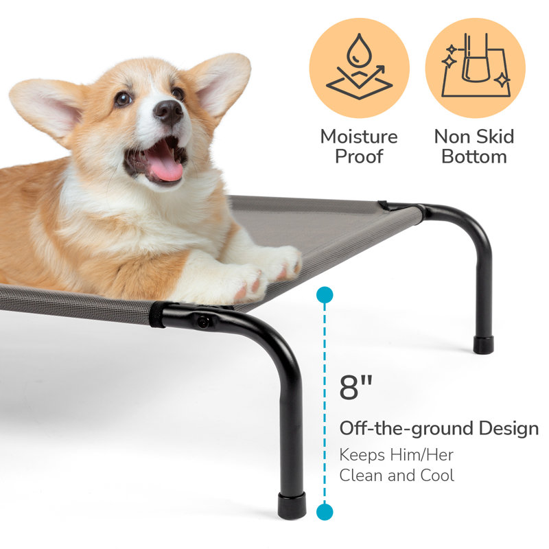 50"D X 31"W X 8"H Dog Bed Gray