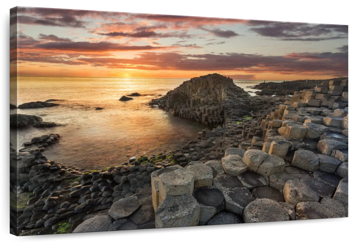 Elephant Stock Giant's Causeway Rocks - Wayfair Canada