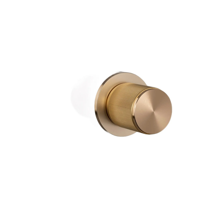 Cylindrical Knob with Round Rosette, Brass