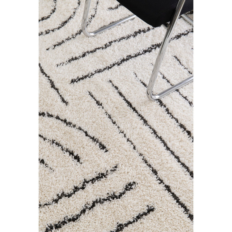 Takehito Oriental Area Rug, Rectangle 160 x 230cm