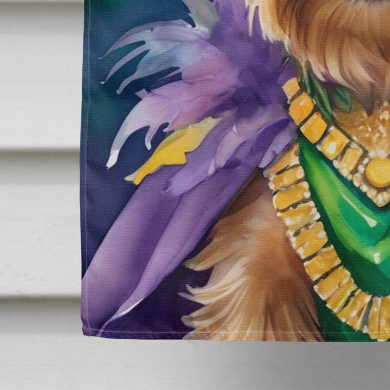 Double Sided 40'' H x 28'' W Polyester Mardi Gras House Flag