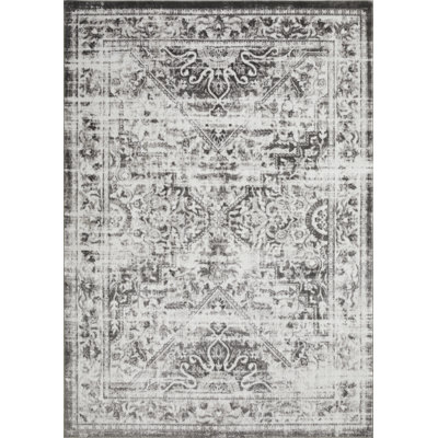 Ragheb Oriental Indoor Rug