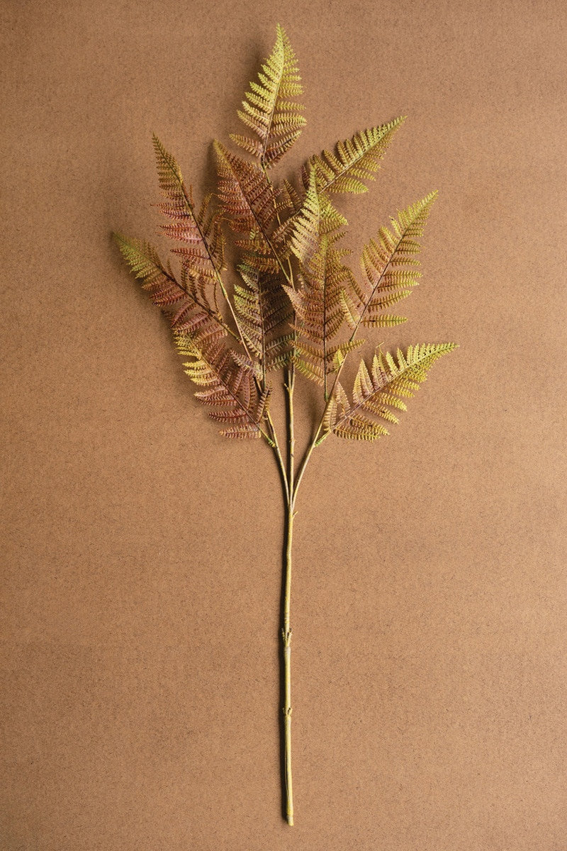 Fern Floral Stems
