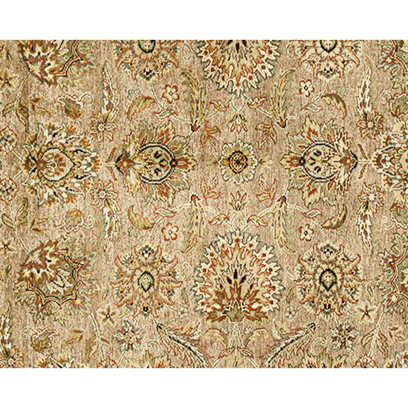 Hand Knotted Wool Area Rug in Brown And Ivory