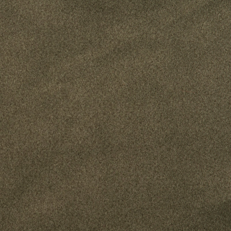 Wooded River Comfy Olive - Fabric by the Yard