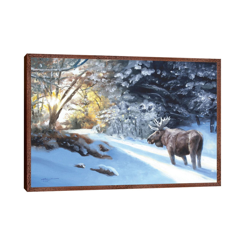 Moose In The Snow by D. "Rusty" Rust - Gallery-Wrapped Canvas Giclée on Canvas, 66.04 cm H x 45.72 cm W, Classic Wood Framed
