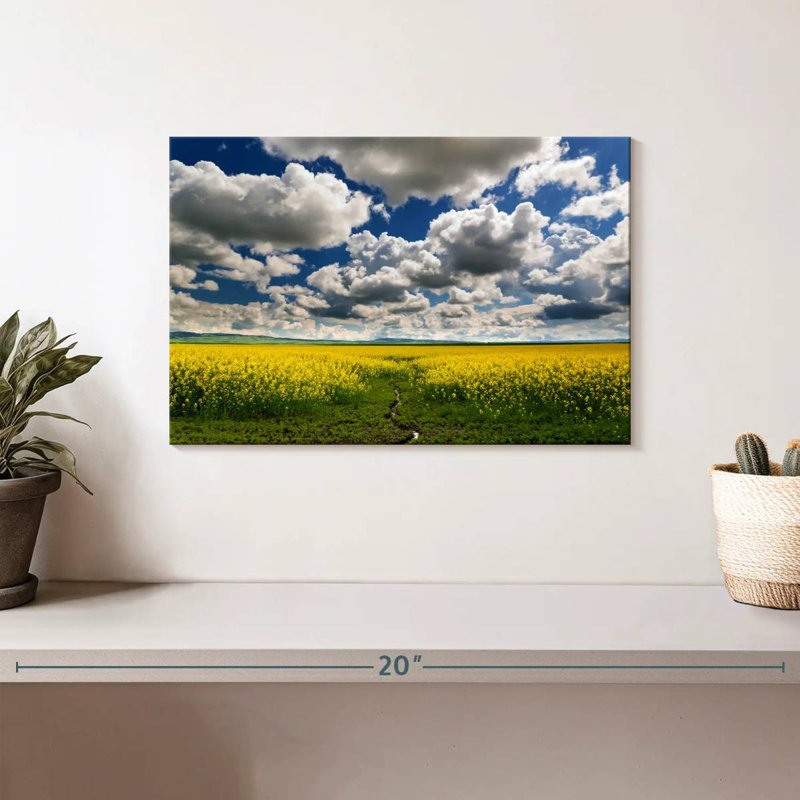 Alvord Clouds Over Fields