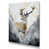 Toile tendue