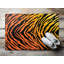 Non-Slip Outdoor Doormat