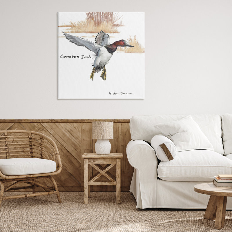 «Canvasback Duck Flying», art mural par Jadei, H 36 po x l 36 po