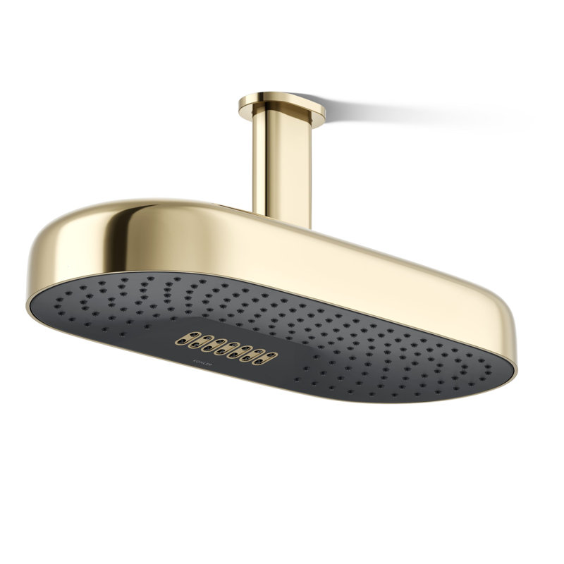 Tête de douche oblongue de 18 po 2,5 GPM, Or éclatant de style français
