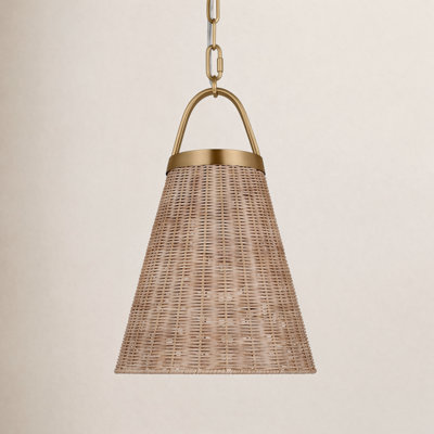 Darnaja Single Light Rattan Steel Dimmable Pendant